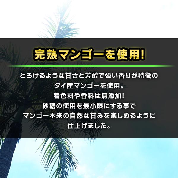 ドライマンゴー 2袋セット スライス プレミアム 着色料 香料 完熟マンゴー 送料無料　新発売　タイ　マンゴー　ドライフルーツ　間食　おやつ｜antarescorporation｜04