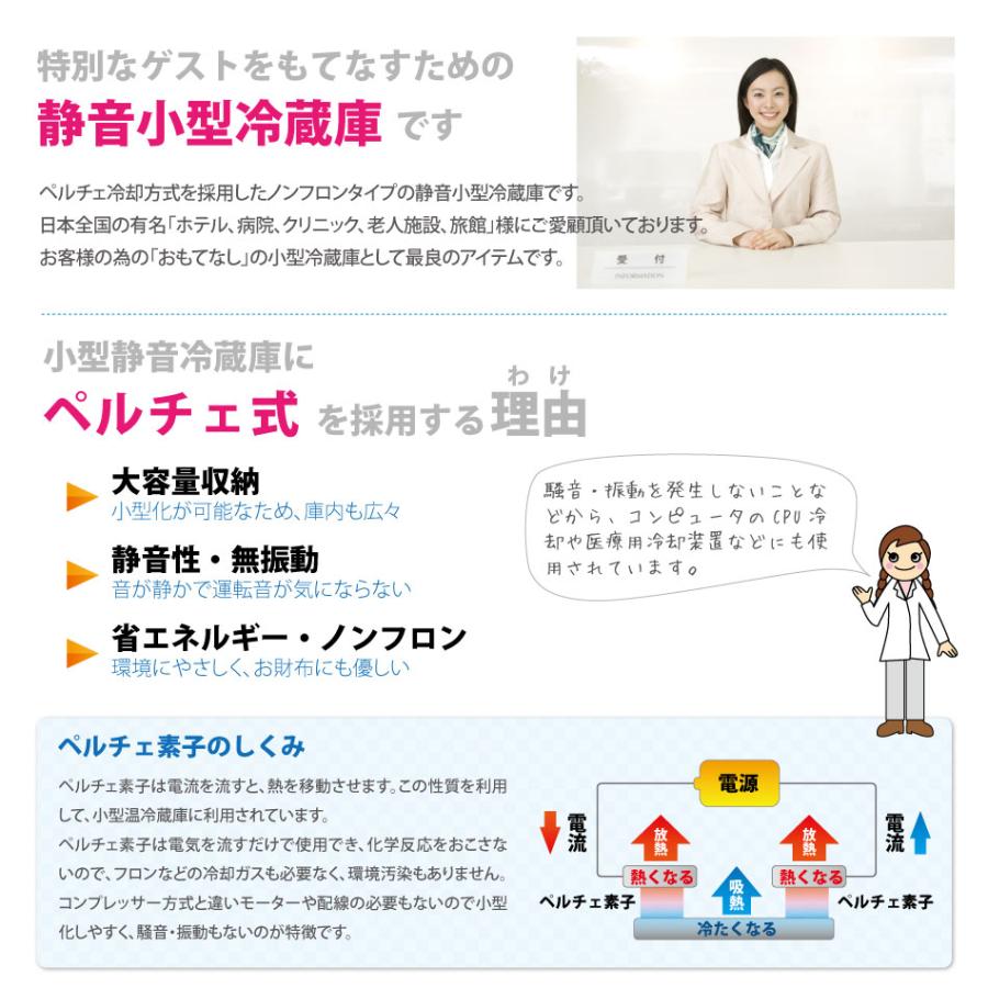 小型冷蔵庫 メーカー5年保証 省エネ17リットル型 Peltismペルチィズム Dunewhite 白 黒 ドア右開き 左開き 病院 クリニック ホテル向け ミニ冷蔵庫 1 Tokyobeetle 通販 Yahoo ショッピング