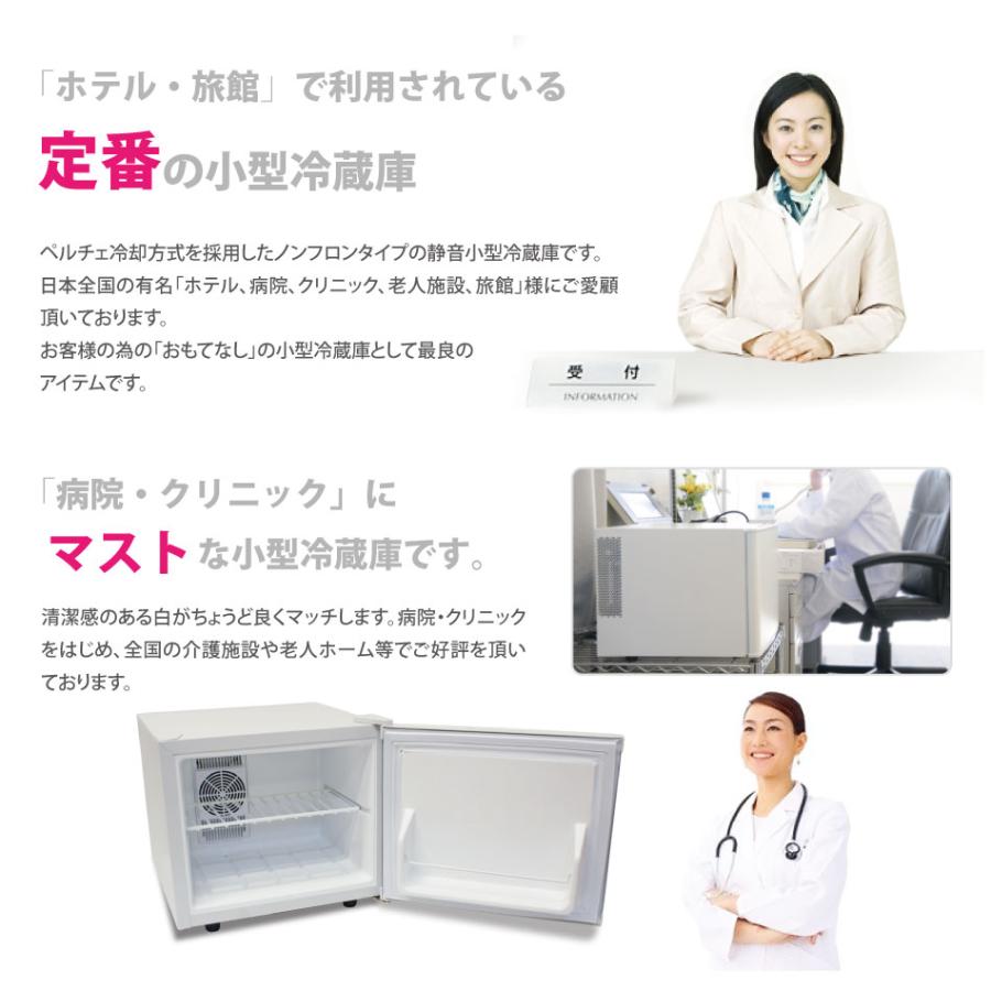 小型冷蔵庫 メーカー5年保証 省エネ17リットル型 Peltism 小型冷蔵庫 メーカー5年保証 省エネ17リットル型 Peltism