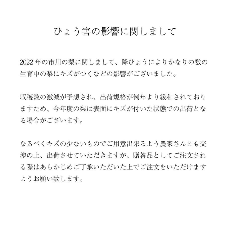 9月上旬出荷開始】かおり 梨 6〜7個入り 大玉 千葉県市川産市川の梨