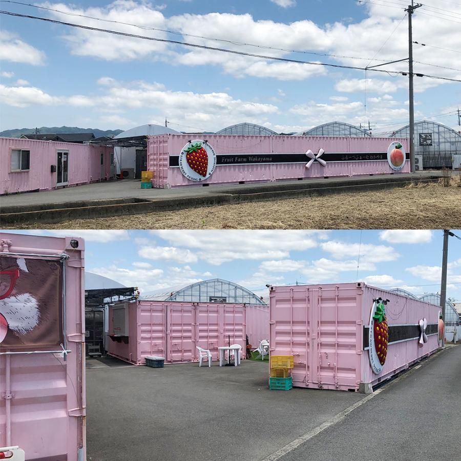 桃 大箱 10〜15玉 和歌山県 紀の川の桃 和歌山県産 送料無料  もも 食品 秀品 産地直送 クール便 |  | 04