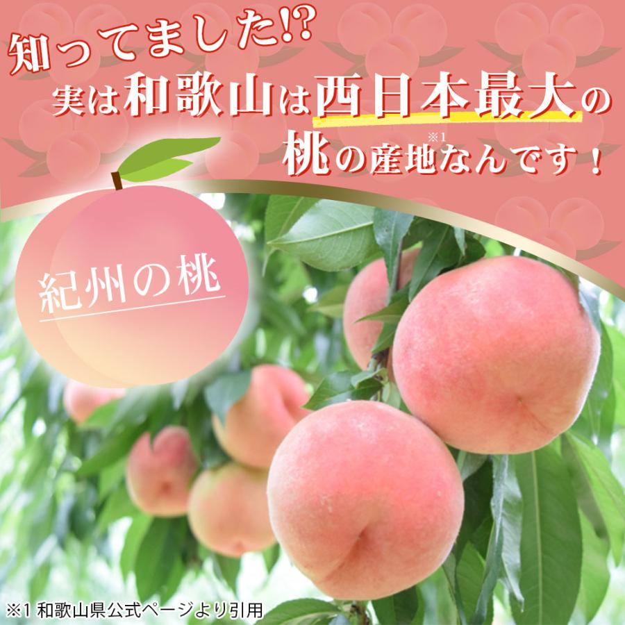 桃 小箱 5〜7玉 和歌山県 紀の川の桃 和歌山県産 送料無料  もも 食品 秀品 産地直送 クール便 |  | 02