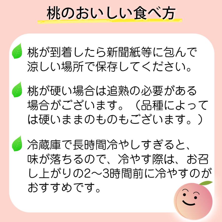 桃 小箱 5〜7玉 和歌山県 紀の川の桃 和歌山県産 送料無料  もも 食品 秀品 産地直送 クール便 |  | 05