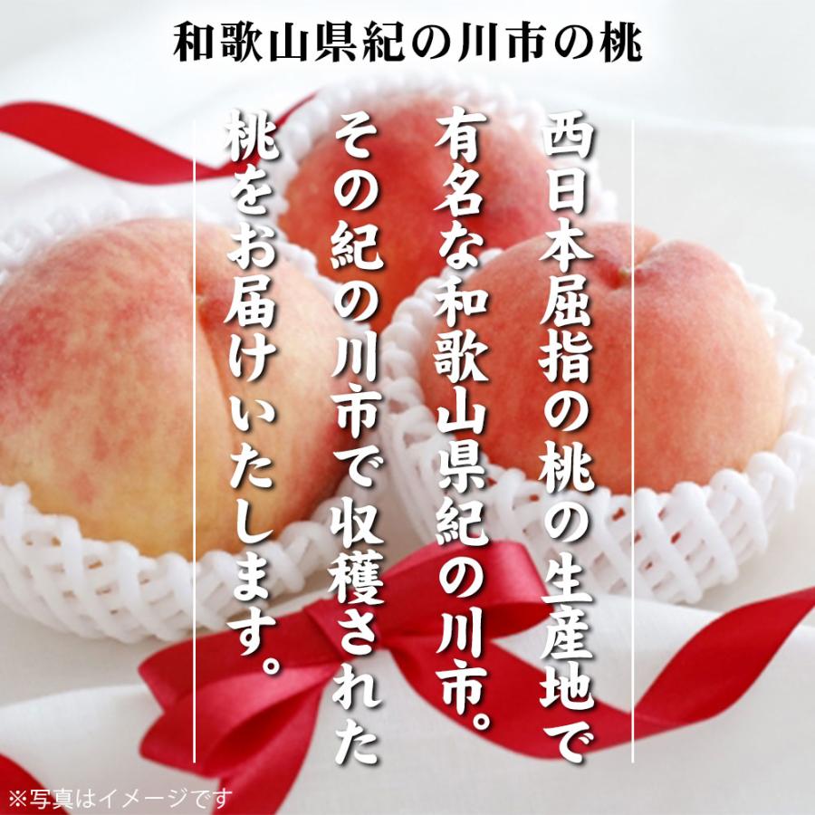 桃 手提げ箱 3玉 和歌山県 紀の川の桃 和歌山県産 送料無料  もも 食品 秀品 産地直送 クール便 |  | 01
