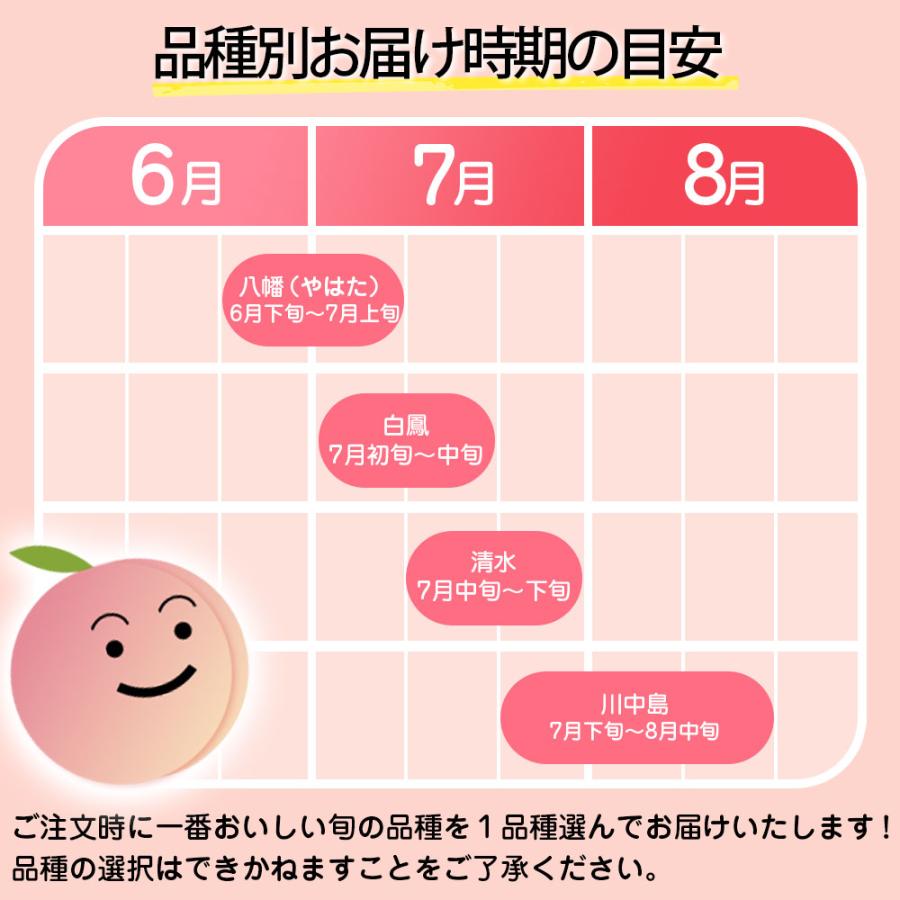 もも 訳あり 約1.8kg 5〜6玉 和歌山県 あら川の桃 和歌山県産 送料無料  桃 食品 家庭用 |  | 06