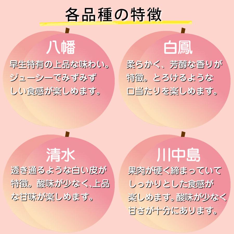 もも 訳あり 約1.8kg 5〜6玉 和歌山県 あら川の桃 和歌山県産 送料無料  桃 食品 家庭用 |  | 07