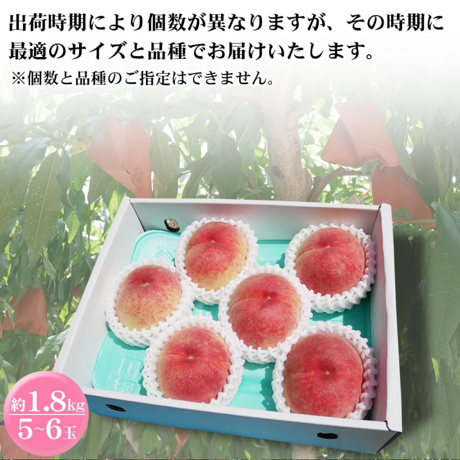 もも 訳あり 約1.8kg 5〜6玉 和歌山県 あら川の桃 和歌山県産 送料無料  桃 食品 家庭用 |  | 08