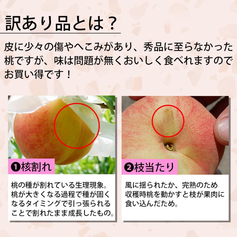 もも 訳あり 約1.8kg 2箱 セット 10〜12玉 和歌山県 あら川の桃 和歌山県産 送料無料  桃 食品 家庭用 産地直送 |  | 10