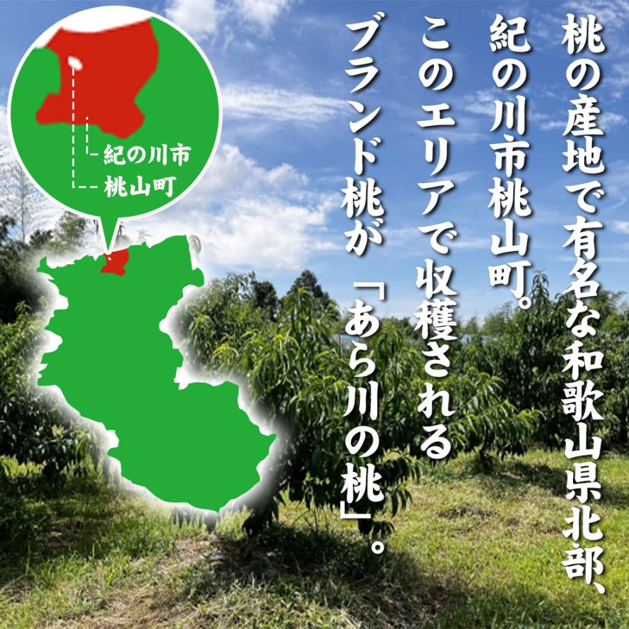 もも 訳あり 約1.8kg 2箱 セット 10〜12玉 和歌山県 あら川の桃 和歌山県産 送料無料  桃 食品 家庭用 産地直送 |  | 03