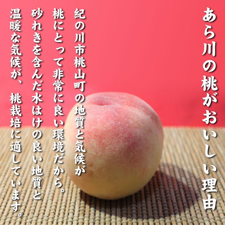 もも 訳あり 約1.8kg 2箱 セット 10〜12玉 和歌山県 あら川の桃 和歌山県産 送料無料  桃 食品 家庭用 産地直送 |  | 04