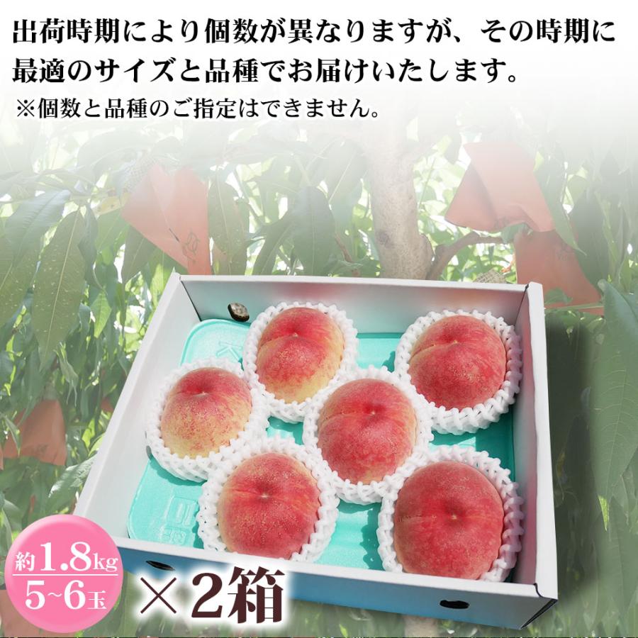 もも 訳あり 約1.8kg 2箱 セット 10〜12玉 和歌山県 あら川の桃 和歌山県産 送料無料  桃 食品 家庭用 産地直送 |  | 08