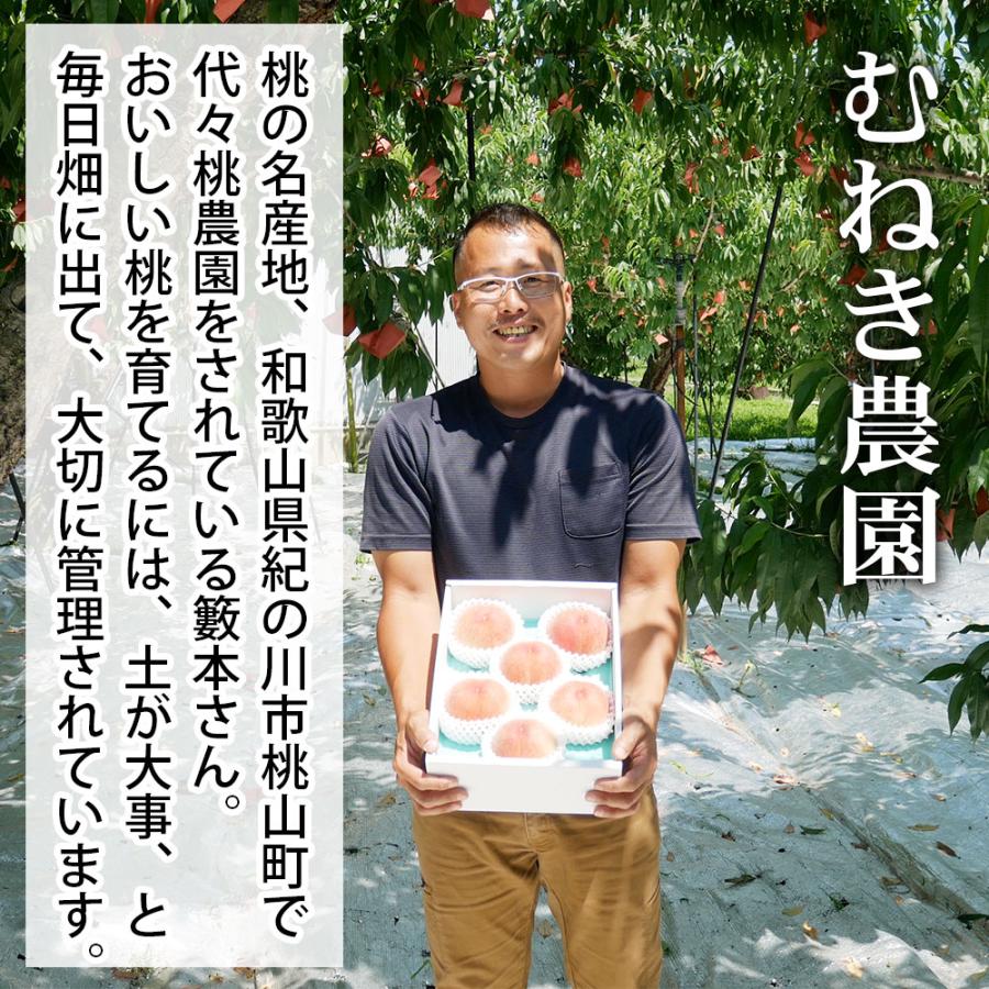 もも 訳あり 約1.8kg 2箱 セット 10〜12玉 和歌山県 あら川の桃 和歌山県産 送料無料  桃 食品 家庭用 産地直送 |  | 09