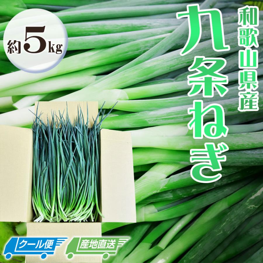 九条ねぎ 約5kg 和歌山県産 青ネギ ねぎ 農家直送 クール便 : ワカツー
