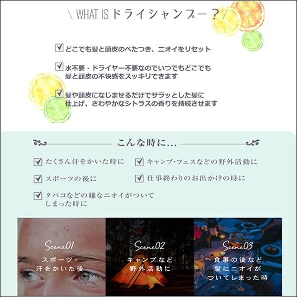 送料無料 ｜ リックス ドライシャンプー 100g トリートメント成分配合