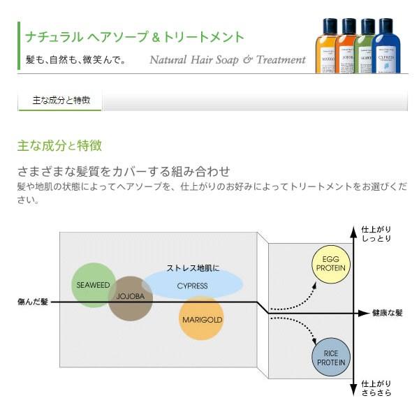ルベル ナチュラルヘア ソープ ＆ トリートメント 4本セット / 720mL×4本 LebeL（ルベル） 送料無料 ナチュラルヘアソープ／トリートメント