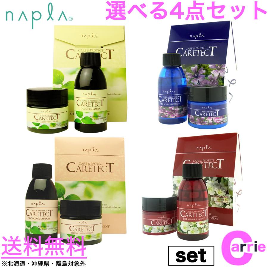 ケアテクト お試し シャンプー50ml トリートメント50g ４個選べる 送料無料 セット Majesticxpress Com