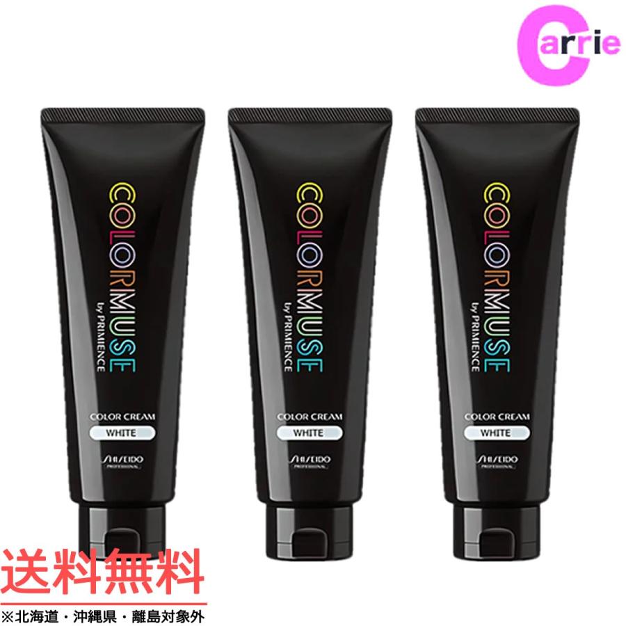 SHISEIDO PROFESSIONAL 資生堂 カラーミューズ バイ