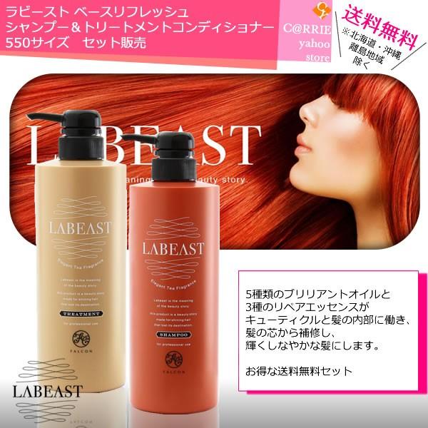 Carrie ヘアーシャンプー & トリートメント セット 【公式通販】