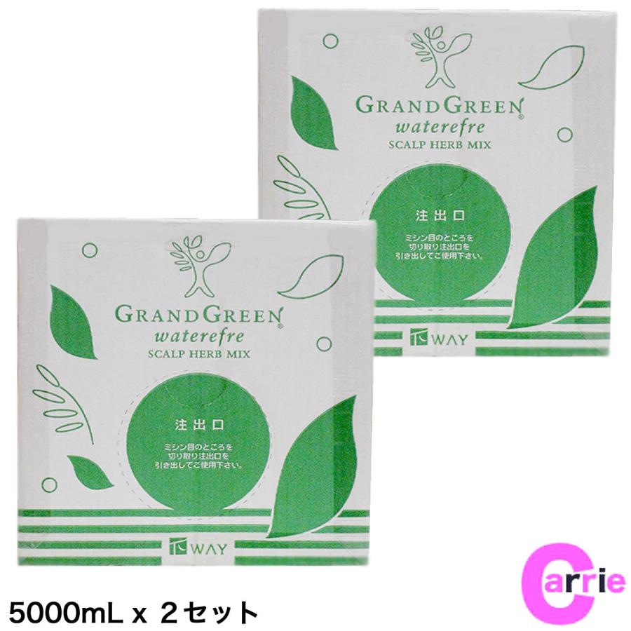 【送料無料！】ニューウェイジャパン グラングリーン ウォーターリフレ  5000mL x ２セット　【洗い流さないトリートメント】大容量｜業務用｜つめかえ用｜レフィル ニューウェイジャパン グラングリーン ウォーターリフレ 5000mL x 2