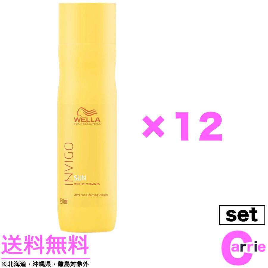 １２本セット ウエラ INVIGO(インヴィゴ) サン クレンジングシャンプー N　250mL ｜送料無料 ヘア＆ボディ用 プロフェッショナルケア