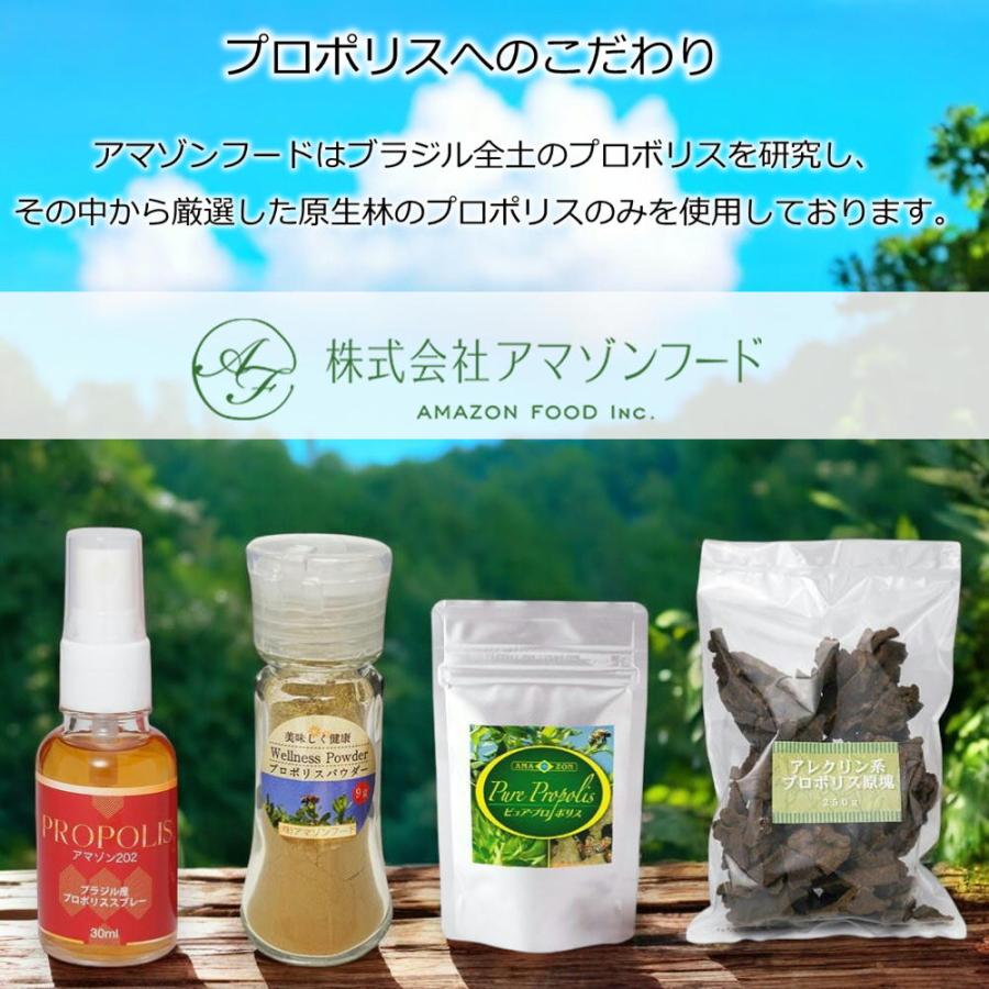 ★新品・未開封品★ 【 アレクリン系 プロポリス 原塊 200g 】 4月購入品 アマゾンフード アレクリン系 プロポリス原塊200g ブラジル産