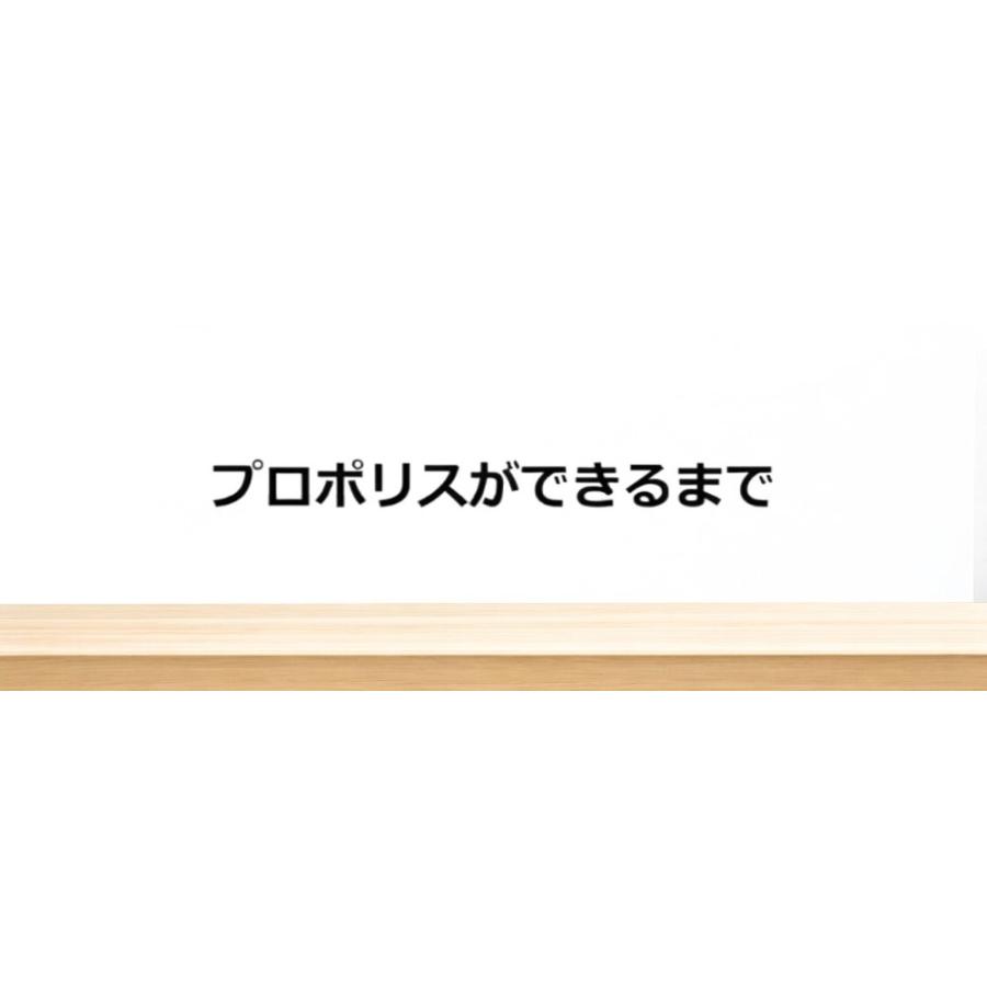 アマゾンフード アレクリン系 プロポリス原塊200g ブラジル産