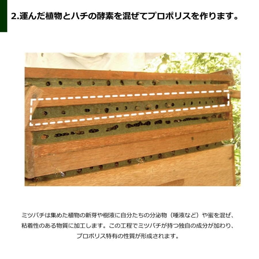 アマゾンフード アレクリン系 プロポリス原塊200g ブラジル産