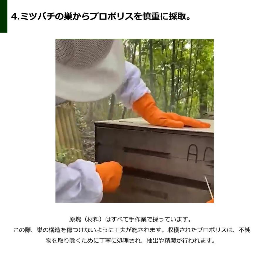 アマゾンフード アレクリン系 プロポリス原塊200g ブラジル産