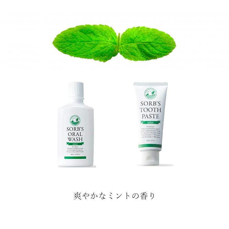 即納 ソーブズ トゥースペースト ミント 120g×2本セット 歯磨き粉 SORB'S TOOTH PASTE mint ソーブス 日本製｜antel-store｜03