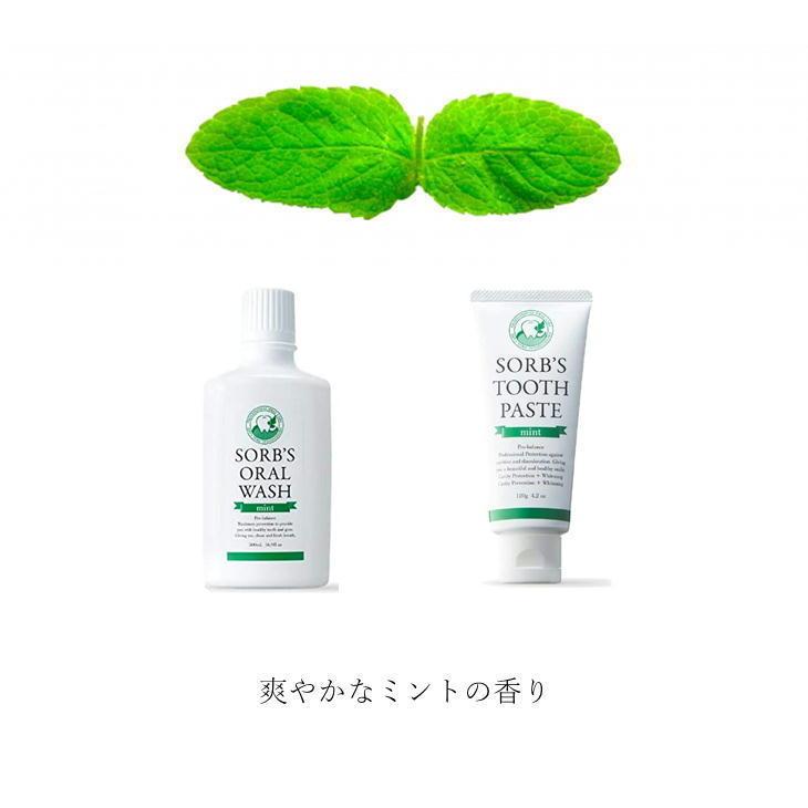 ソーブズ オーラルウォッシュ ミント 500ml×6本セット 箱入り SORB'S