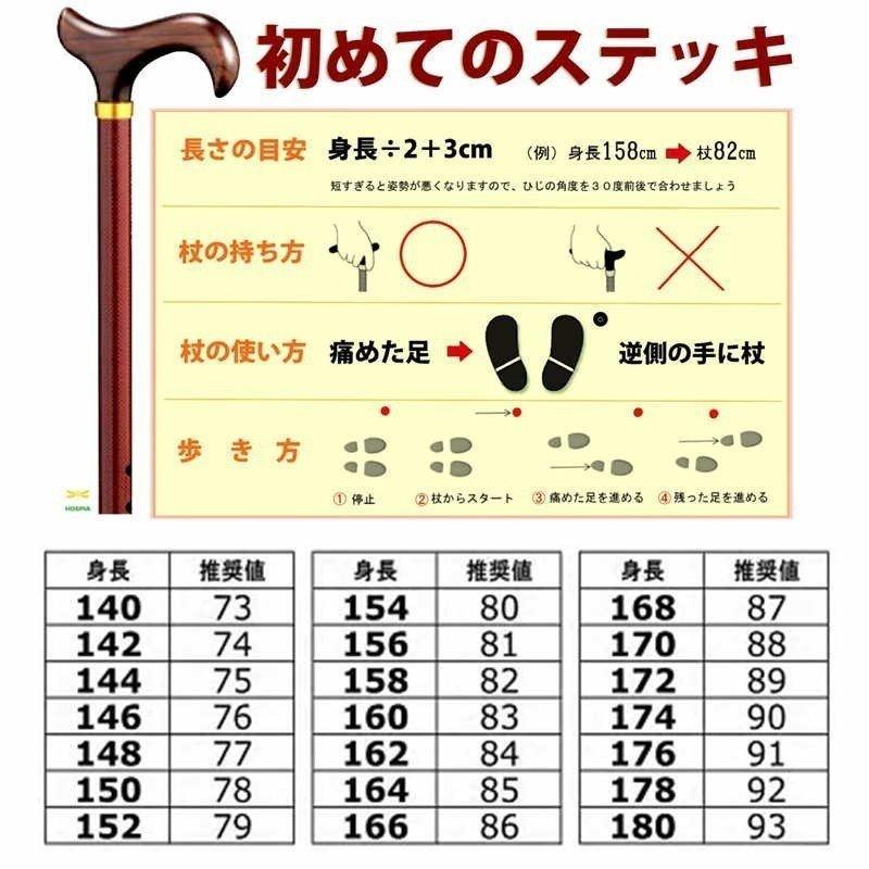 ガストロック Gastrock ドイツ製 1本杖 GA-60 GA60 ステッキ ブナ