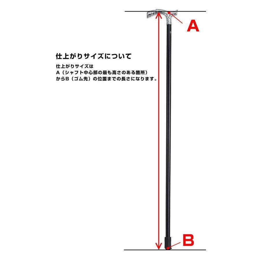 ガストロック Gastrock ドイツ製 1本杖 GA-60 GA60 ステッキ ブナ