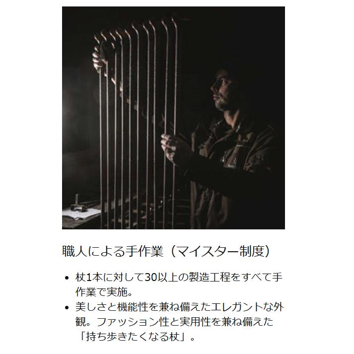ドイツ製 1本杖 ガストロック Gastrock GA-81 GA81 ブナ 一本杖 ECO