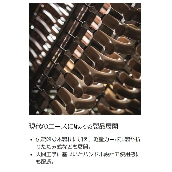 ドイツ製 1本杖 ガストロック Gastrock GA-81 GA81 ブナ 一本杖 ECO