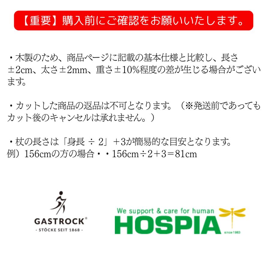 ドイツ製 1本杖 ガストロック Gastrock GA-81 GA81 ブナ 一本杖 ECO