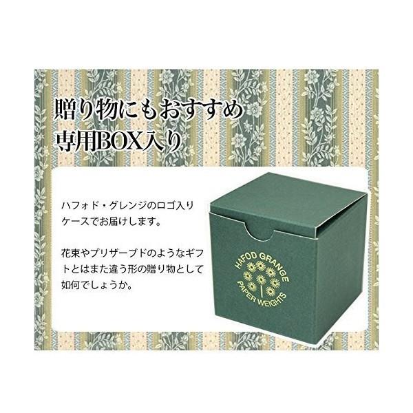 未使用保管品 BACCARAT バカラ Zin-Zin ザンザン ハート ペーパー