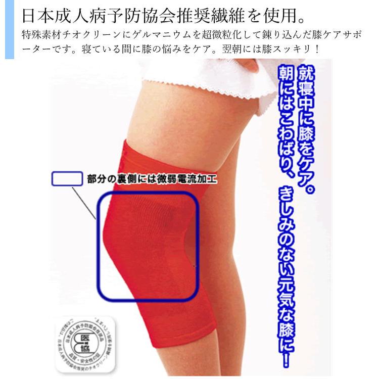 星虎の赤ひざ先生 膝用ケアサポーター 2枚組 ひざサポーター 就寝用 星