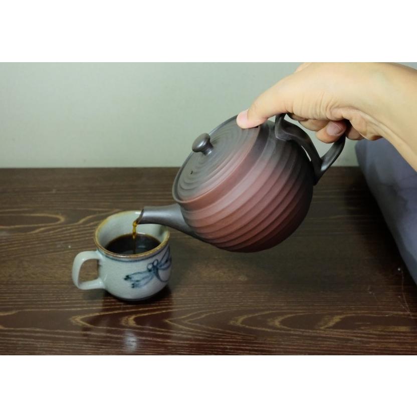常滑焼 200メッシュ 畳織フィルターの珈琲急須 600ml コーヒー