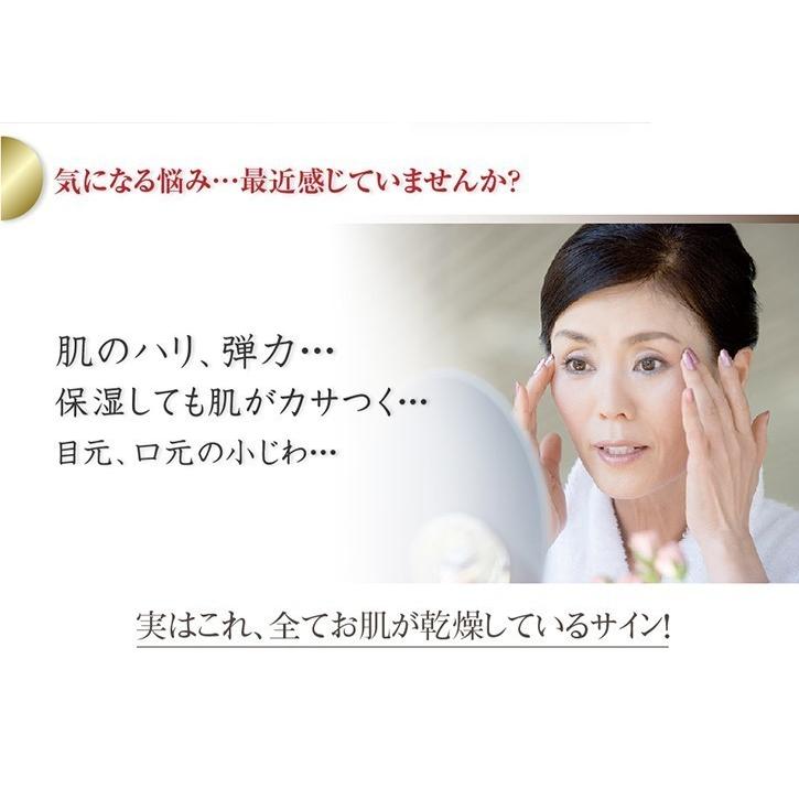 【新品未開封】LURIBIO GRACE REPAIR 高保湿クリーム LURIBIO（ルリビオ） グレイスリペア 52g×2個セット GRACE REPAIR 30