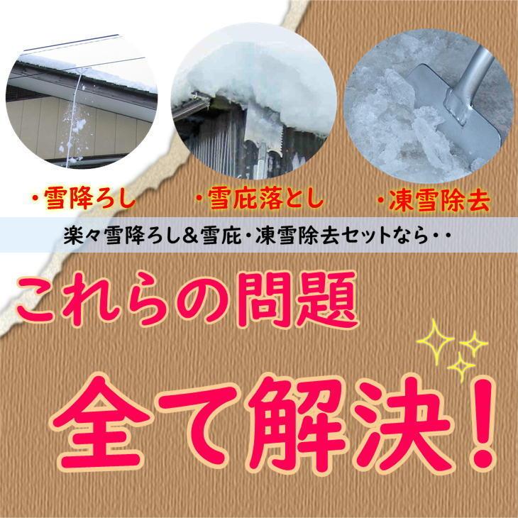 楽々雪降ろし＆雪庇・凍雪除去セット 6mモデル 2階 屋根 雪下ろし 道具 