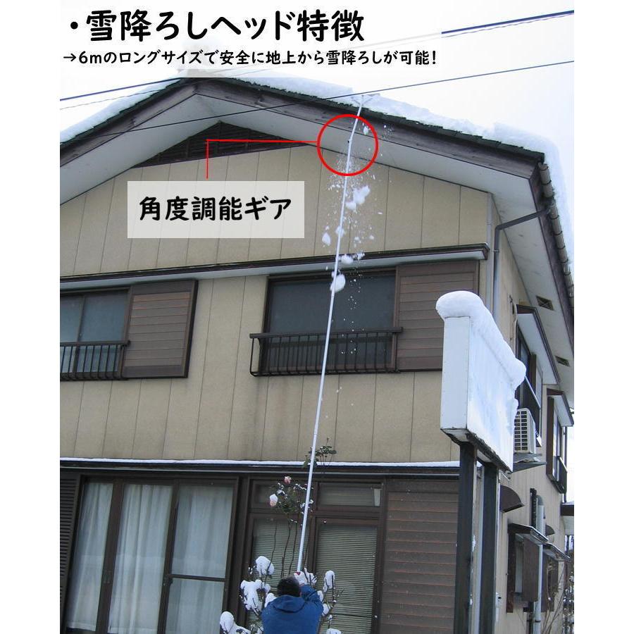 楽々雪降ろし＆雪庇・凍雪除去セット 6mモデル 2階 屋根 雪下ろし 道具