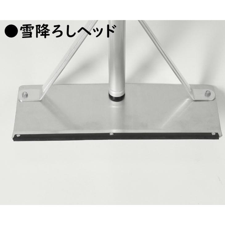 楽々雪降ろし＆雪庇・凍雪除去セット 6mモデル 2階 屋根 雪下ろし 道具