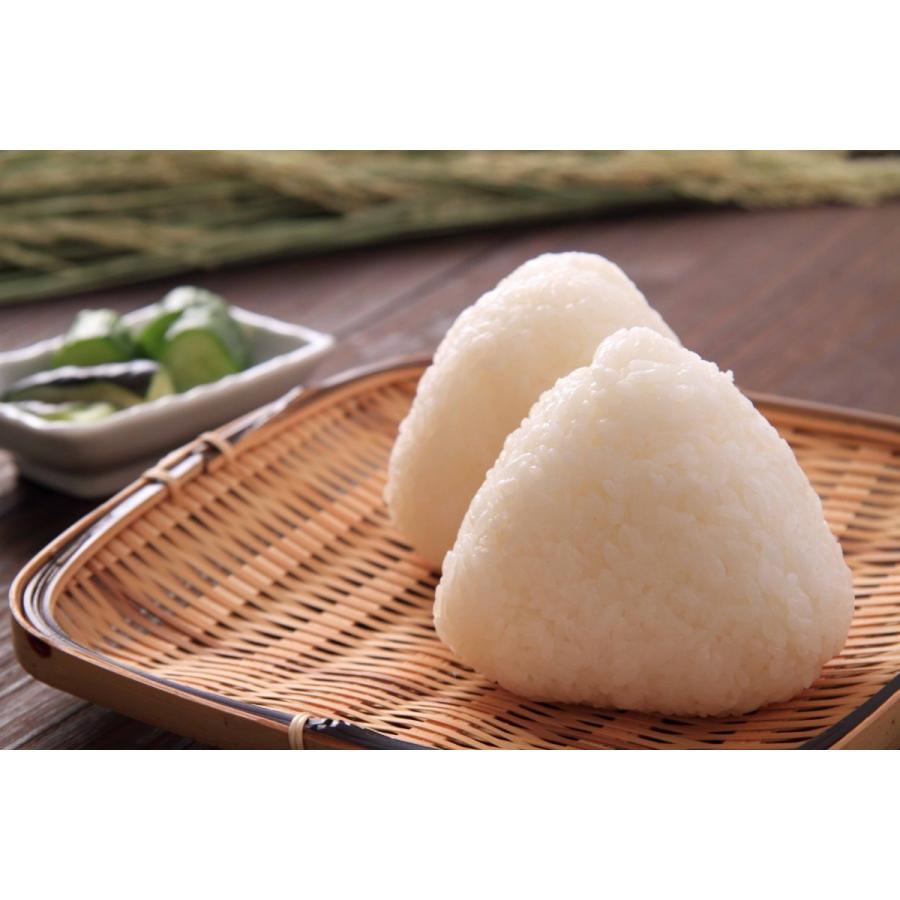新之助（しんのすけ） 【令和7年産】 新潟県産 10kg (5kg×2袋) 精米 