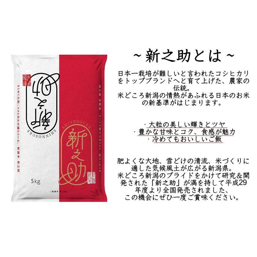 令和5年産 新潟県産 新之助 10kg (5kg×2袋)  産地直送｜antel-store｜05