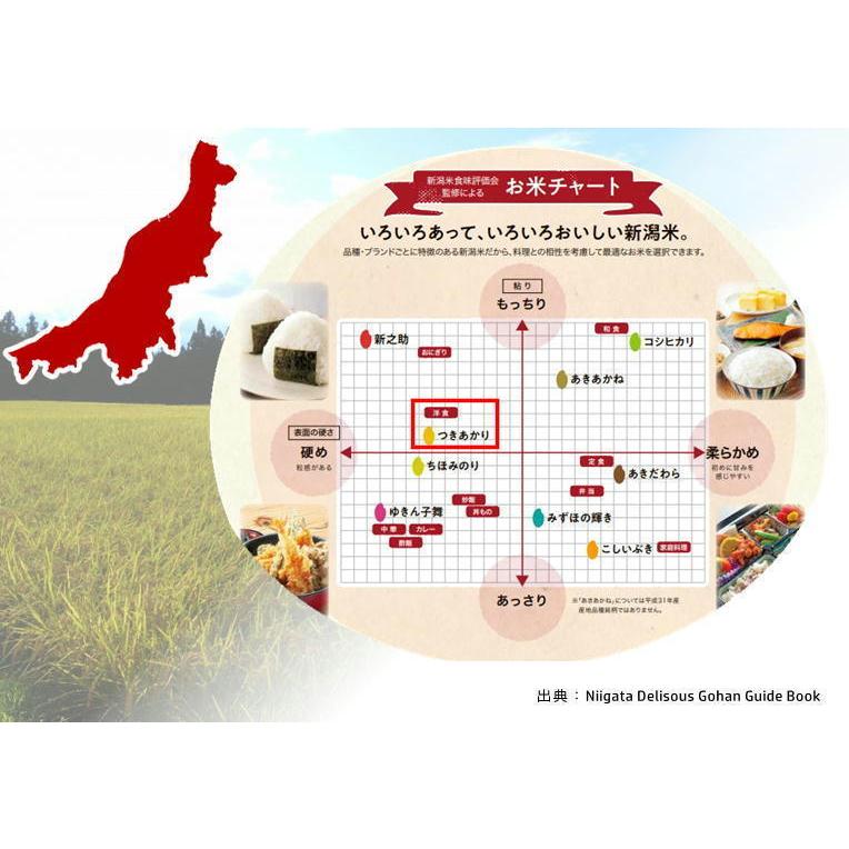 【令和7年産】新潟県産 つきあかり 10kg (5kg×2袋) 令和6年産 産地直送 長岡 田中米穀_1