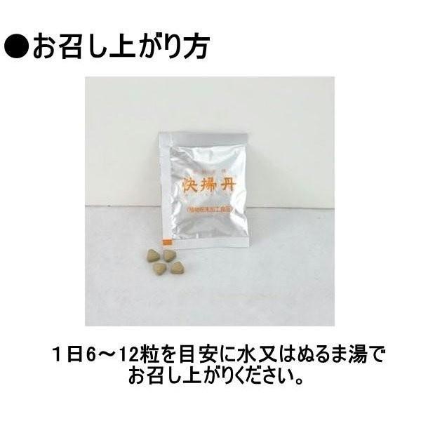 快掃丹 かいそうたん 30包 サプリメント : Antelヤフー店 - 通販 