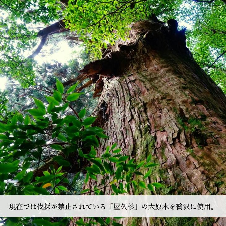 神木 屋久杉 七福神 認定シール付き 泊 健一郎作 置物 縁起物 工芸品 