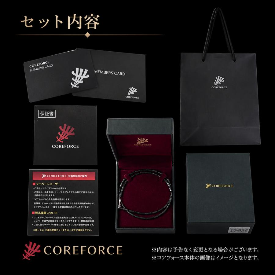 COREFORCE（コアフォース） ネックプロ ブラックスピネル 44cm 公式