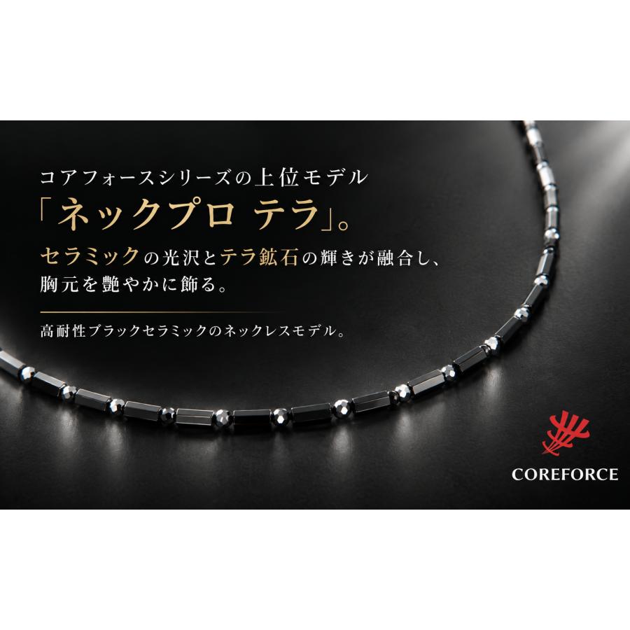 COREFORCE（コアフォース） ネックプロ テラ 44cm 公式手提げ袋付き