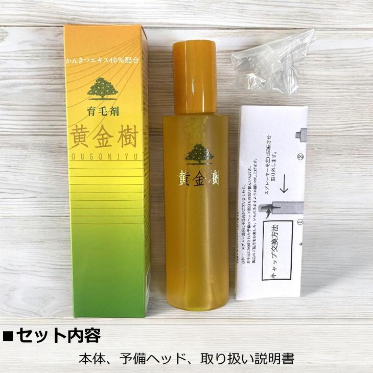 薬用育毛剤 黄金樹 150ml×2本セット 養毛 育毛 薄毛対策 薄毛